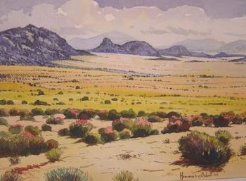 "Namaqualand Scene, Goegap Nature Reserve 2"