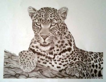 "Leopard"