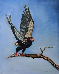 "Bateleur"