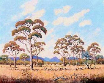 "Bushveld Scene with Fallen Trees"
