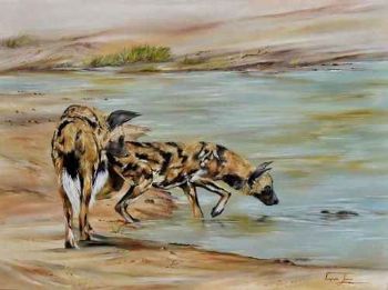 "Inquisitive Wild Dogs"