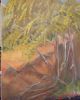 "Trees in a Donga"