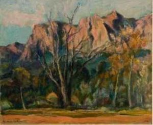 "Boland Mountains No.2 Ref 354"