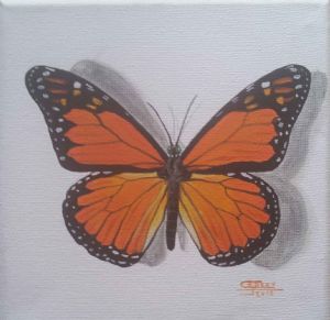"Miniature Butterfly Collection"