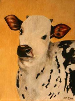"Nguni Calf - Amy"