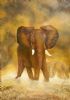"Young Bull Giclee Print"