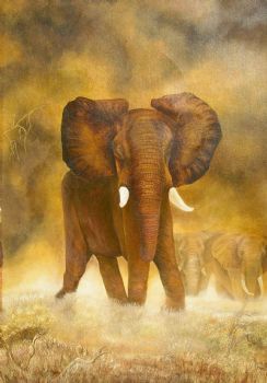 "Young Bull Giclee Print"