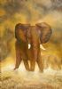 "Young Bull Giclee Oil on Canvas Southafricanarti"