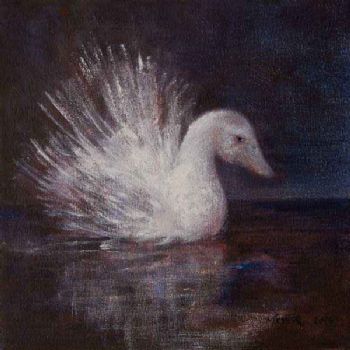 "Grace"