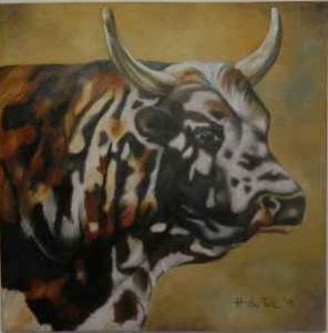 "Nguni Colours"