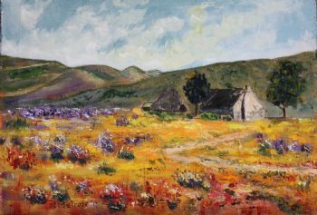 "Biedouw Valley"