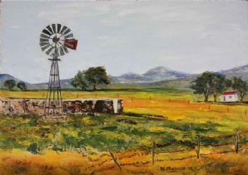 "Spring in Namaqualand"