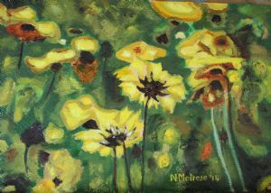 "Yellow Beauties Hogsback"