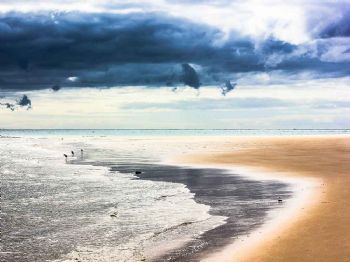 "Early Morning on Margarique Island, Mozambique"