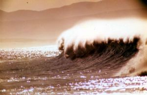 "Surf's Up in JBay"