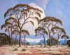 "Bushveld with Cloudy Skies (Pierneef Style)"
