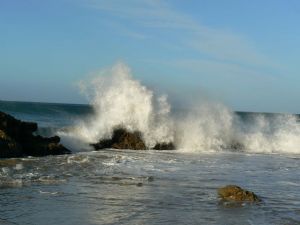 "Breaker Shark Rock 1"