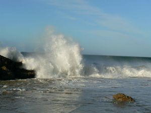 "Breaker Shark Rock 2"