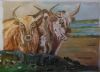"Nguni Couple"