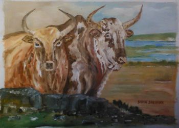 "Nguni Couple"