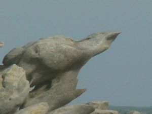 "Rock Formation"