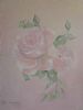 "Dreamy Pink Roses"