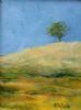 "Summer Day"