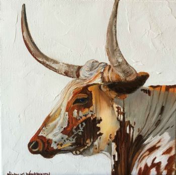 "Nguni 2"