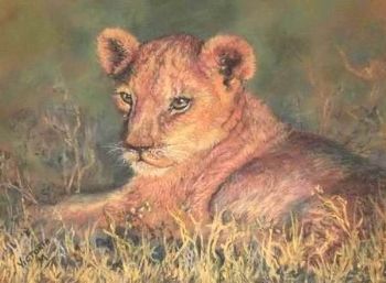 "Lion Cub"