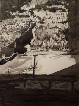"Black & White Series #3"