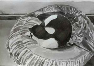 "Black & White Series #15"
