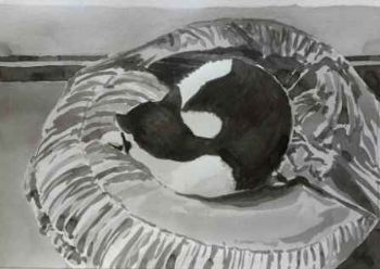 "Black & White Series #15"