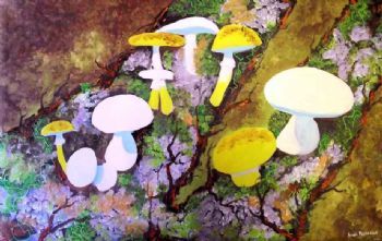 "Mushrooms Growing on Treetrunk"