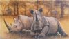 "Rhinos in Sepia"