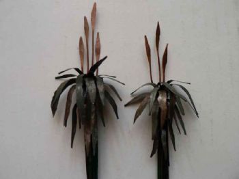 "Two Aloes "
