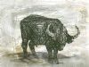 "Buffalo Bull"