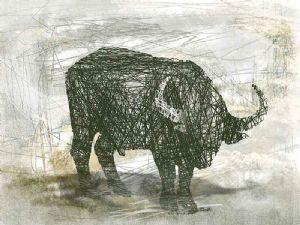 "Buffalo Bull"