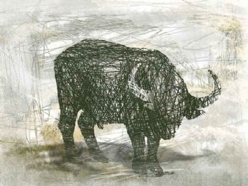 "Buffalo Bull"