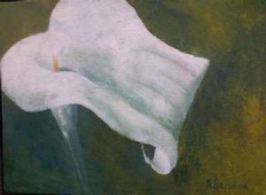 "Arum Lily"