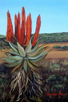 "Aloe"