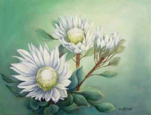 "King White Protea"