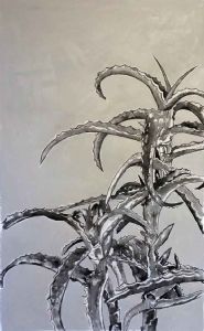 "Aloe I"