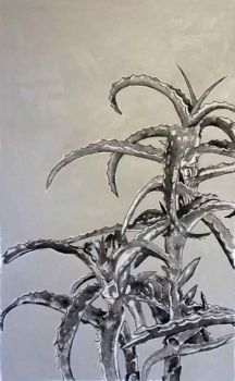 "Aloe I"