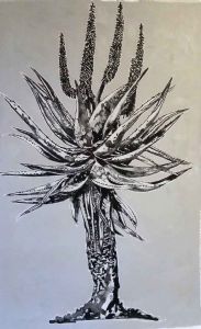 "Aloe II"