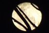 "Blue Moon 2"