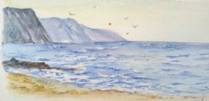 "Costa Vicentina"