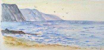 "Costa Vicentina"
