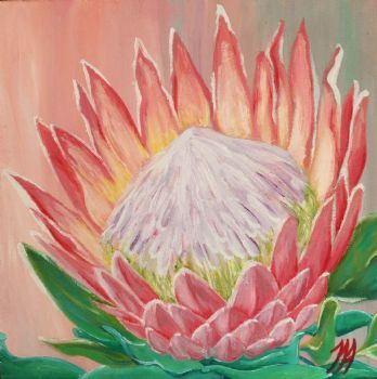 "King Protea"