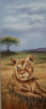 "Shumba"