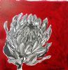 "Table Mountain Fynbos 1"